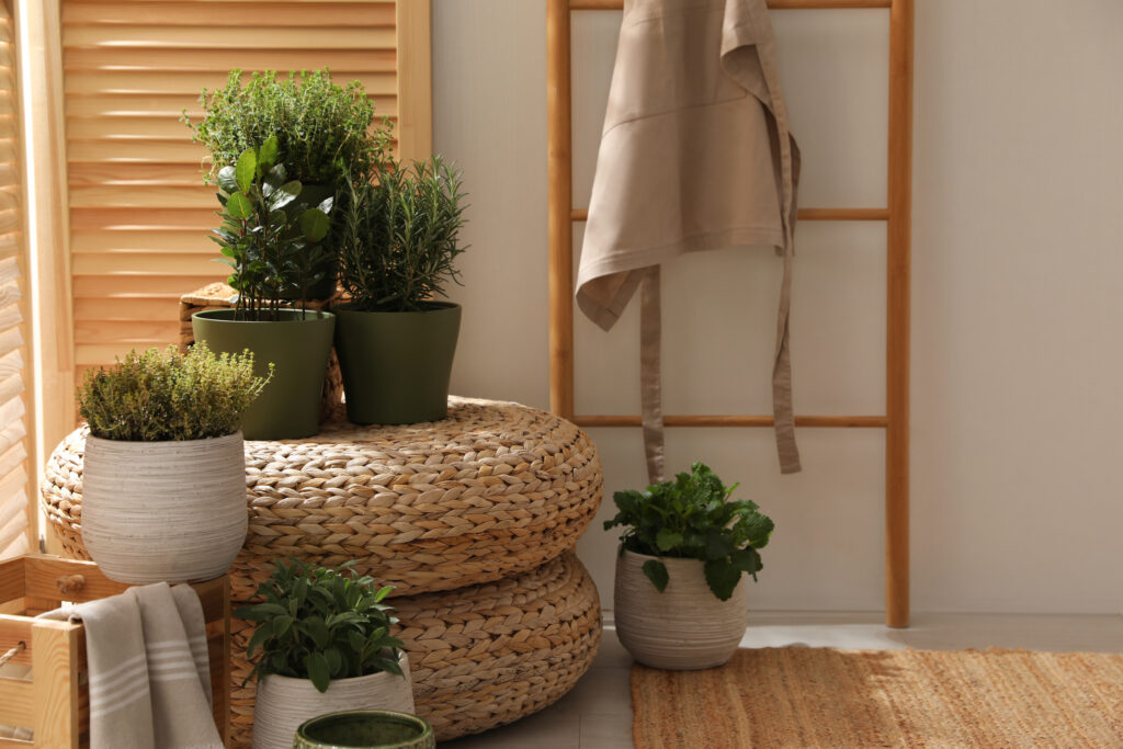 sage green kitchen with biophilia and rattan